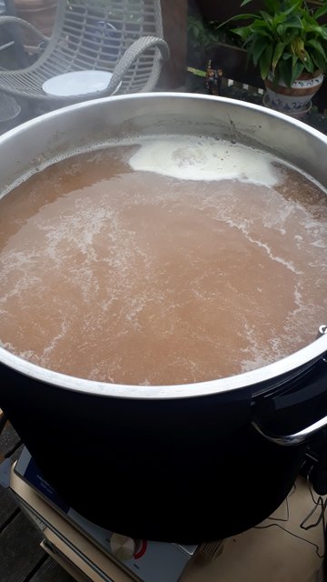 17_kochen_start_klein.jpg