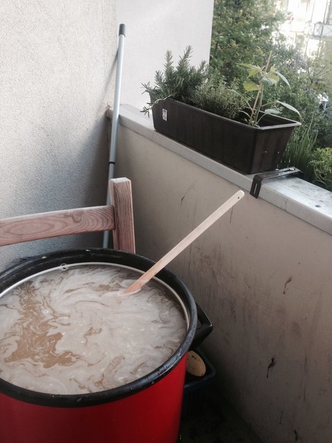 Hopfenkochen.