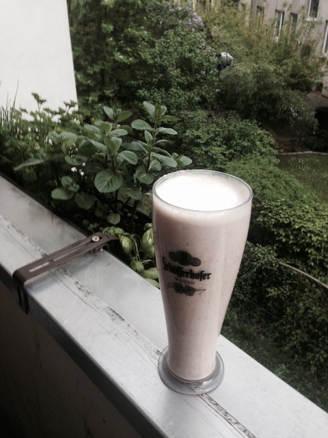 Da ich es schade fand, den kompletten Treber wegzuwerfen und zu faul war ein Brot zu backen, habe ich mir einen Bananen-Mandel-Treber-Milchshake gemacht. Hat geil geschmeckt. Die Pumper würden bei dem Proteingehalt vor Freude hüpfen, wenn sie sich noch bewegen könnten. ;D