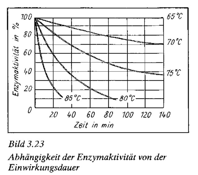 enzyme.jpg