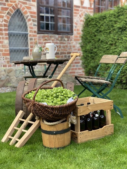 Hopfenernte am Kloster Ebstorf
