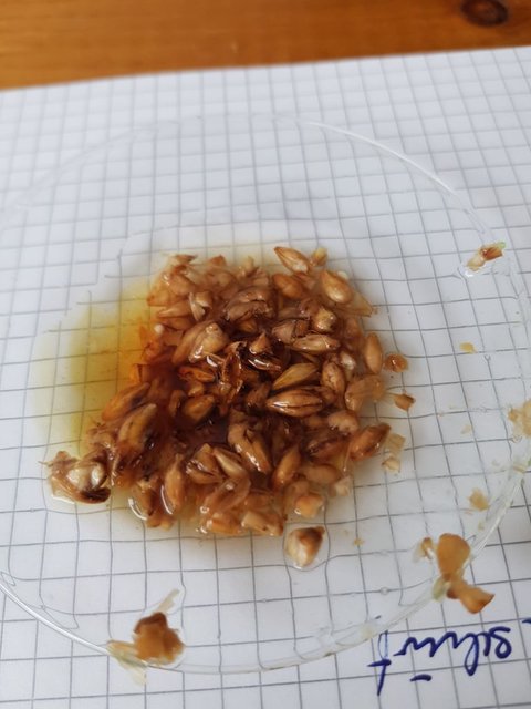 2020-08-15_15h07m48s_Keptinis-048.jpg