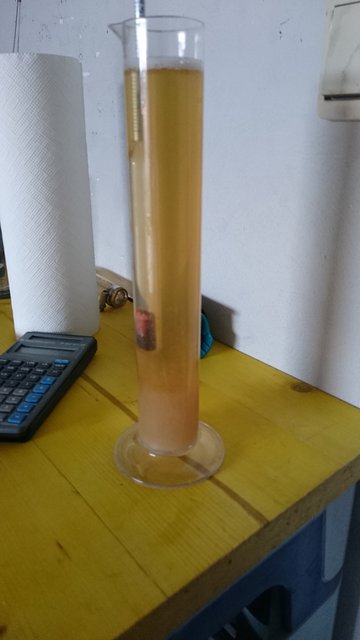 DSC_0214.JPG