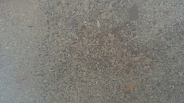 DSC_0343.JPG