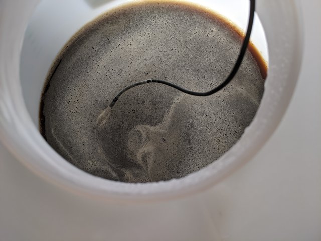 PXL_20201021_110709109.jpg