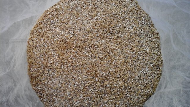 Zuerst habe ich die 5,87kg Malz geschrotet mit der Corona-zum ersten Mal! Ob die Schrotqualität passt?<br />Wird sich beim Läutern zeigen...