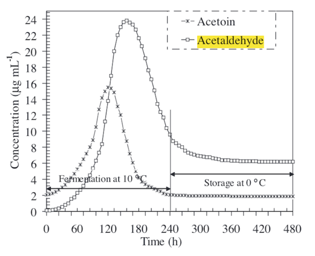 Aceltaldehyd-während-der-Gärung.png