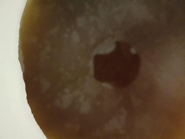 20201201_131552.jpg