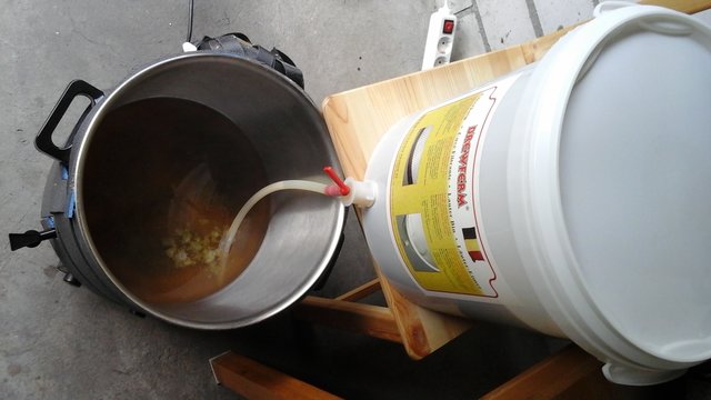 Hopfen vorgelegt...und los geht's...