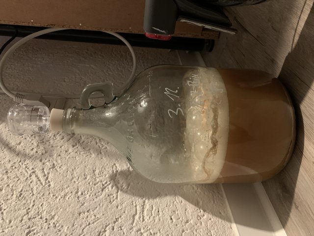 Die Hefe ist jedenfalls angekommen