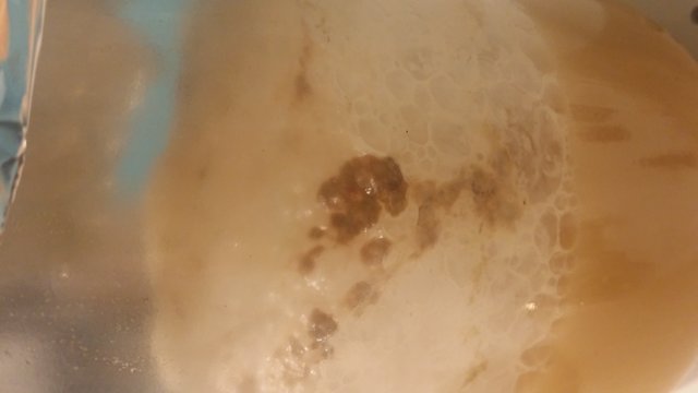 20201204_165509.jpg
