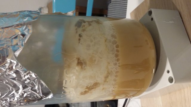 20201204_174246.jpg