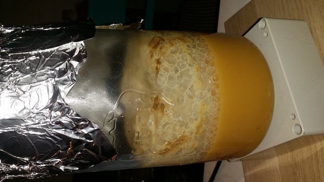 20201204_174315.jpg