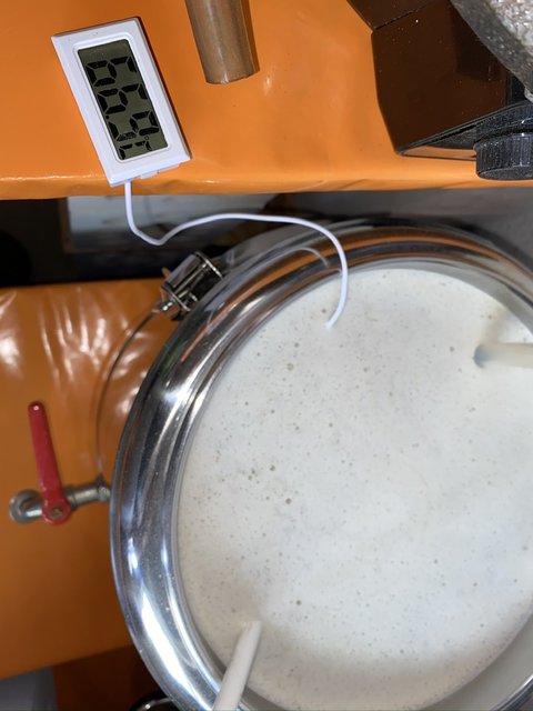 9C6FA7FB-8FE4-47EC-AC11-C0A299AF1B08.jpeg (216.78 KiB) 7778 mal betrachtet Räuber