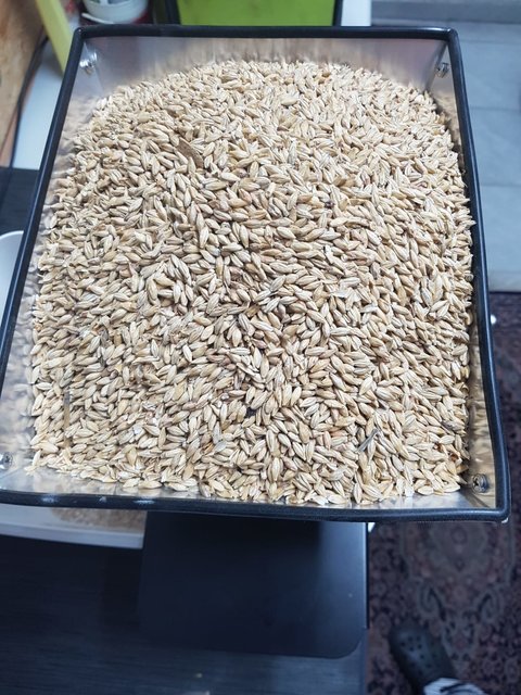 Ab in die Mühle
