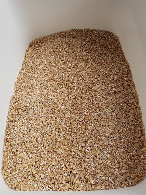 Ergebnis