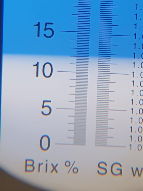 kurz vorm kochen 11,9°BRIX