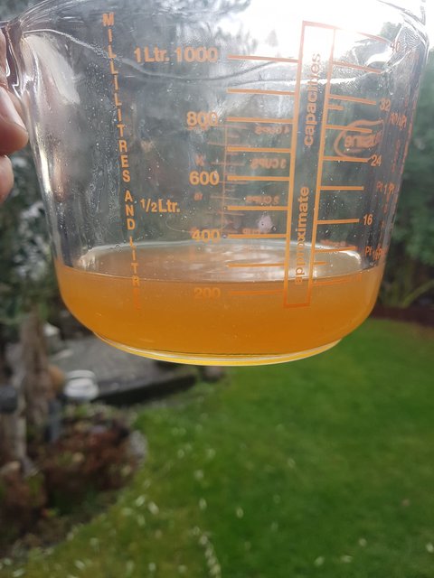 nach 5min etwas Sud entnommen für die Hefe anzustellen
