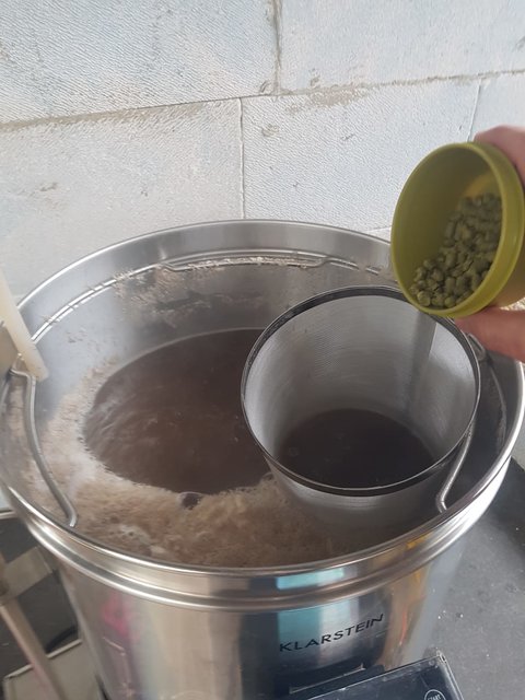 nachc10min kochen den ersten Hopfen dazu..CASCADE dann 10min vor Schluss