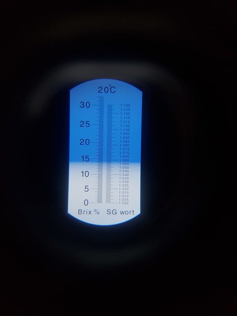 13,9° BRIX nachdem kochen...OH JE..das sollte nicht sein  eher 12,9 aber kein Wasser zum verdünnen da also bleibt es so