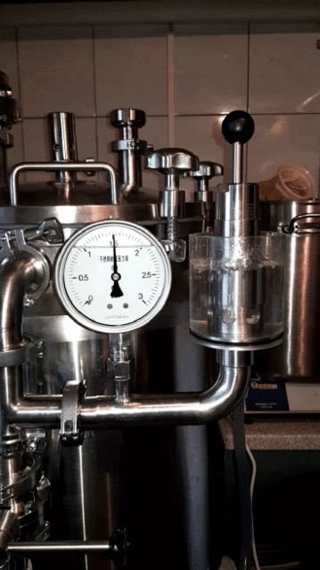 VID-20200912-WA0001_1_1.gif