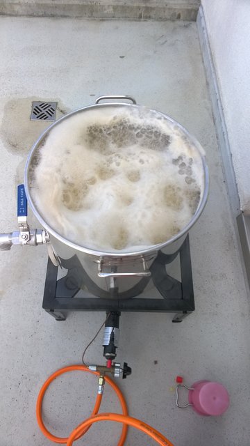 WP_20150504_002.jpg