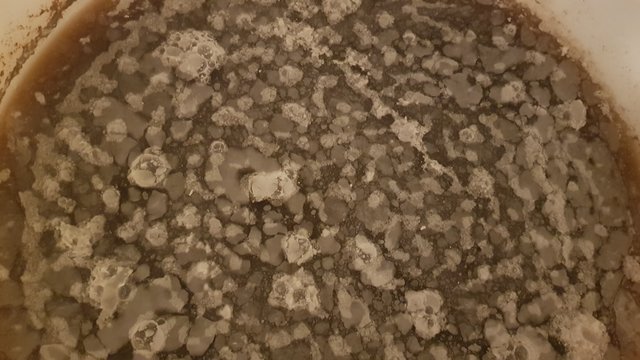 20201216_175416.jpg
