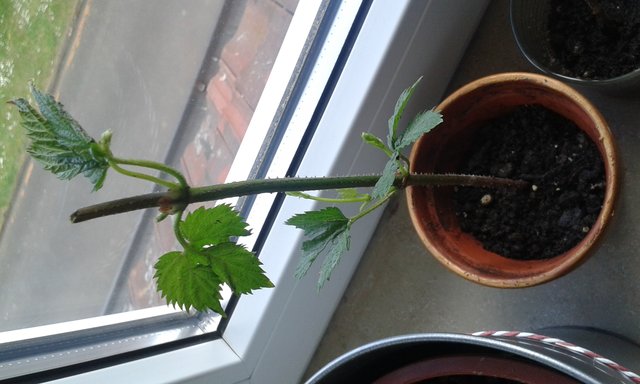 20150506_154622.jpg