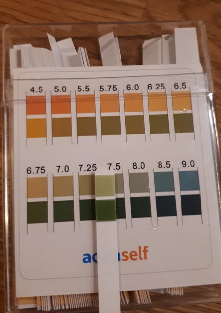 pH Messstreifen.jpg