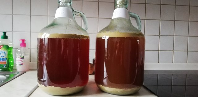 Links kastanienbraun (G2), rechts eher braun-lömrig (G1)