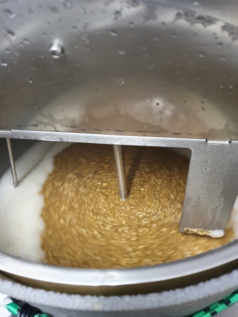 Dann war auch schon alles drin. Das Maischeprogramm lief wie im Rezept angegeben