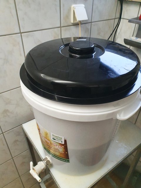 Nach dem Abmaischen erfolgte die Läuterruhe. Im Läuterbottich ist die Läuterhexe verbaut.