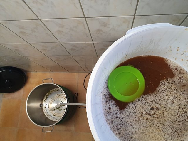 Dann kann ja das Läutern beginnen. Der Einkocher wurde in der Zwischenzeit gesäubert und der Hopfen kam rein.