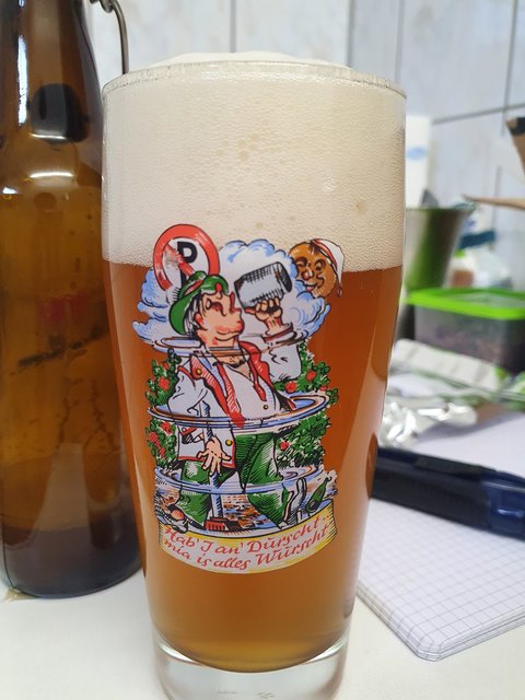 Zwischenzeitlich musste sich auch mal gestärkt werden mit einem vorangegangenen Sud: Citra Pale Ale.