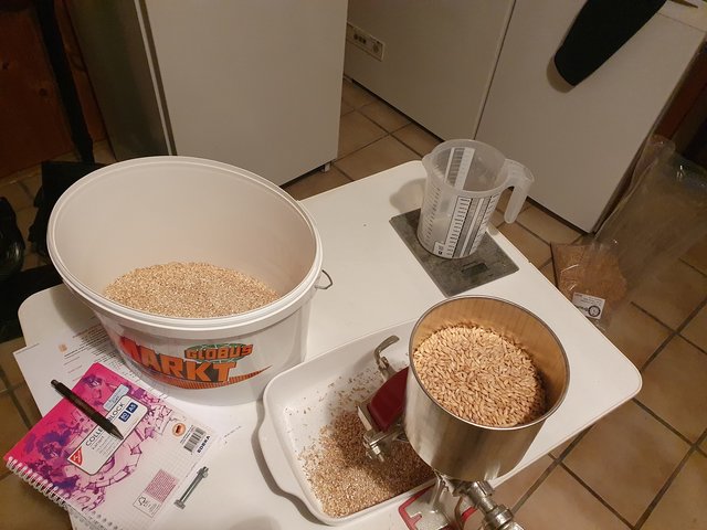 20210121_175244.jpg
