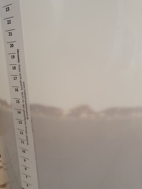 20210129_151105.jpg (391.69 KiB) 7369 mal betrachtet Check von außen nach ein paar Tagen; Hochkrausen waren schön da