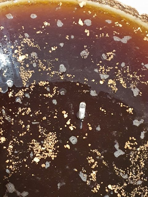 Gespindelt wurde direkt im Bottich mit der zuvor desinfizierten Spindel
