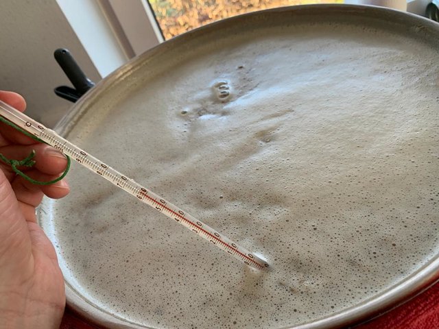 6 kg Malz auf 21 L Hauptguss. Der Einkocher ist randvoll aber man konnte noch gut umrühren