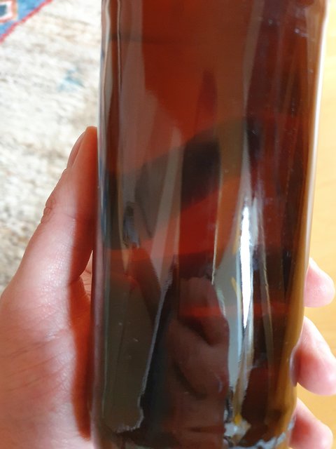 20210219_152404.jpg