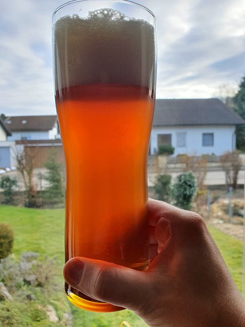 Zum ersten Mal den vorherigen Sud probiert: Ein Amarillo IPA