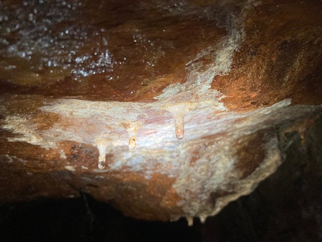 image5.jpeg