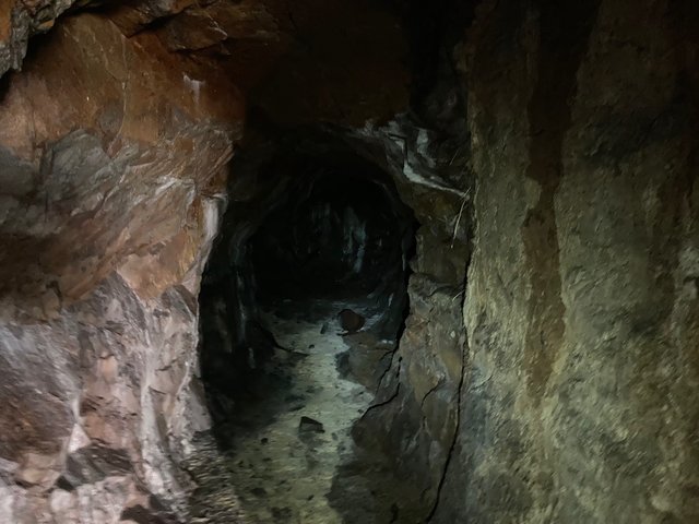 image6.jpeg