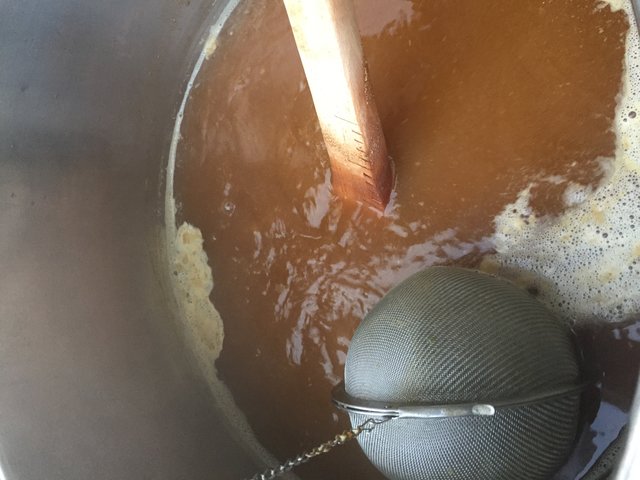 Würze kochen mit Hopfensiebkugel