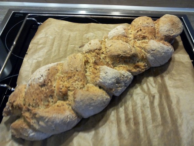 IMG_20190809_205403.jpg (311.53 KiB) 12753 mal betrachtet ca. 1.5 kg Treber-Curry-Zopf-Monster