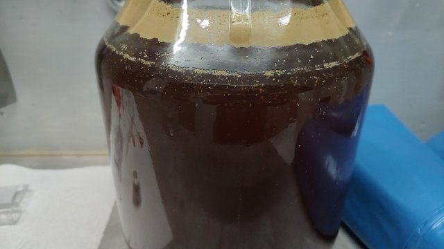 IMG-20210320-WA0011.jpeg