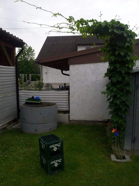 20150526_191005_resized.jpg
