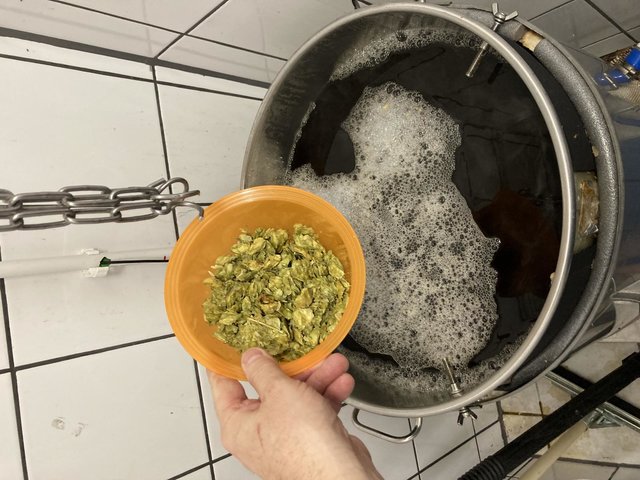 Doldenhopfen aus der Hallertau