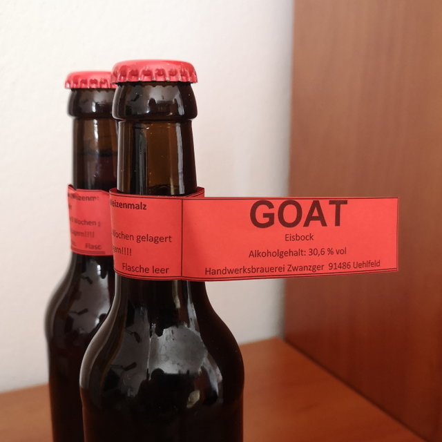 Goat - ein Eisbock der besonderen Sorte - Mini (4).jpg