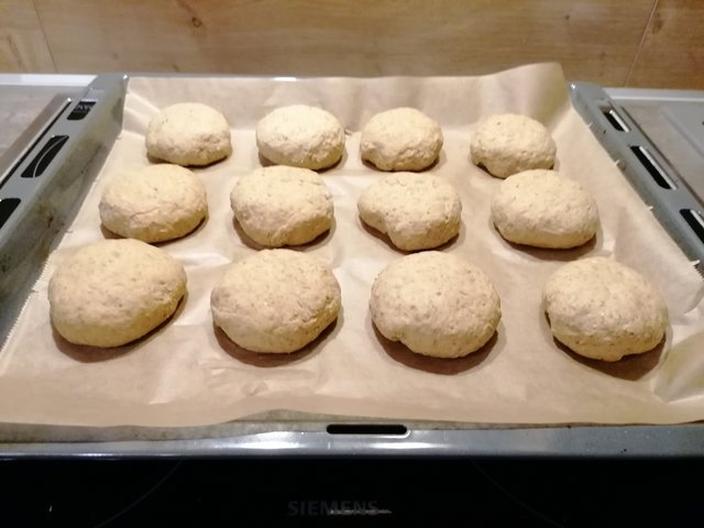 IMG_20210414_205108.jpg (2.55 MiB) 11780 mal betrachtet Teiglinge mit Treber, Rauchbier & Curry