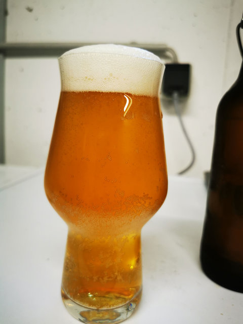 Zwischendurch mal eins der letzten selbstgebrauten Knölsch (ja, richtig gelesen, Knölsch!)
